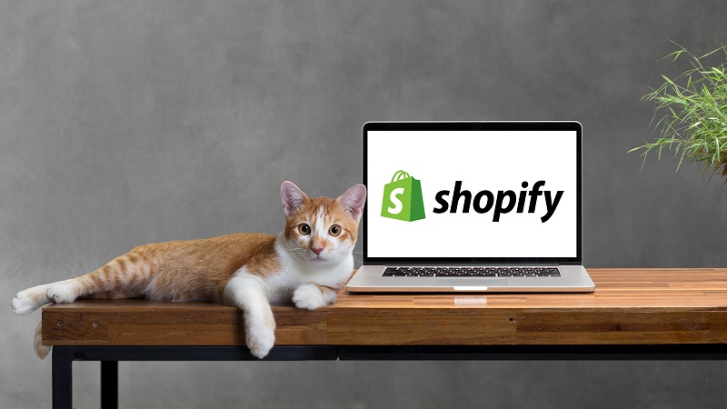 Why Shopify URL is so important?