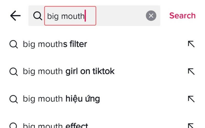 If you can’t remember the name of a TikTok filter, try searching for its characteristics.