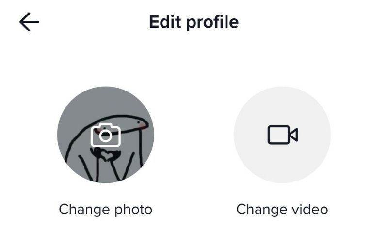 change tiktok profile pictures