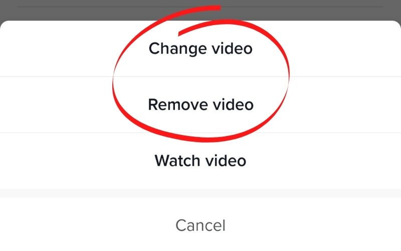 for changing tiktok profile videos