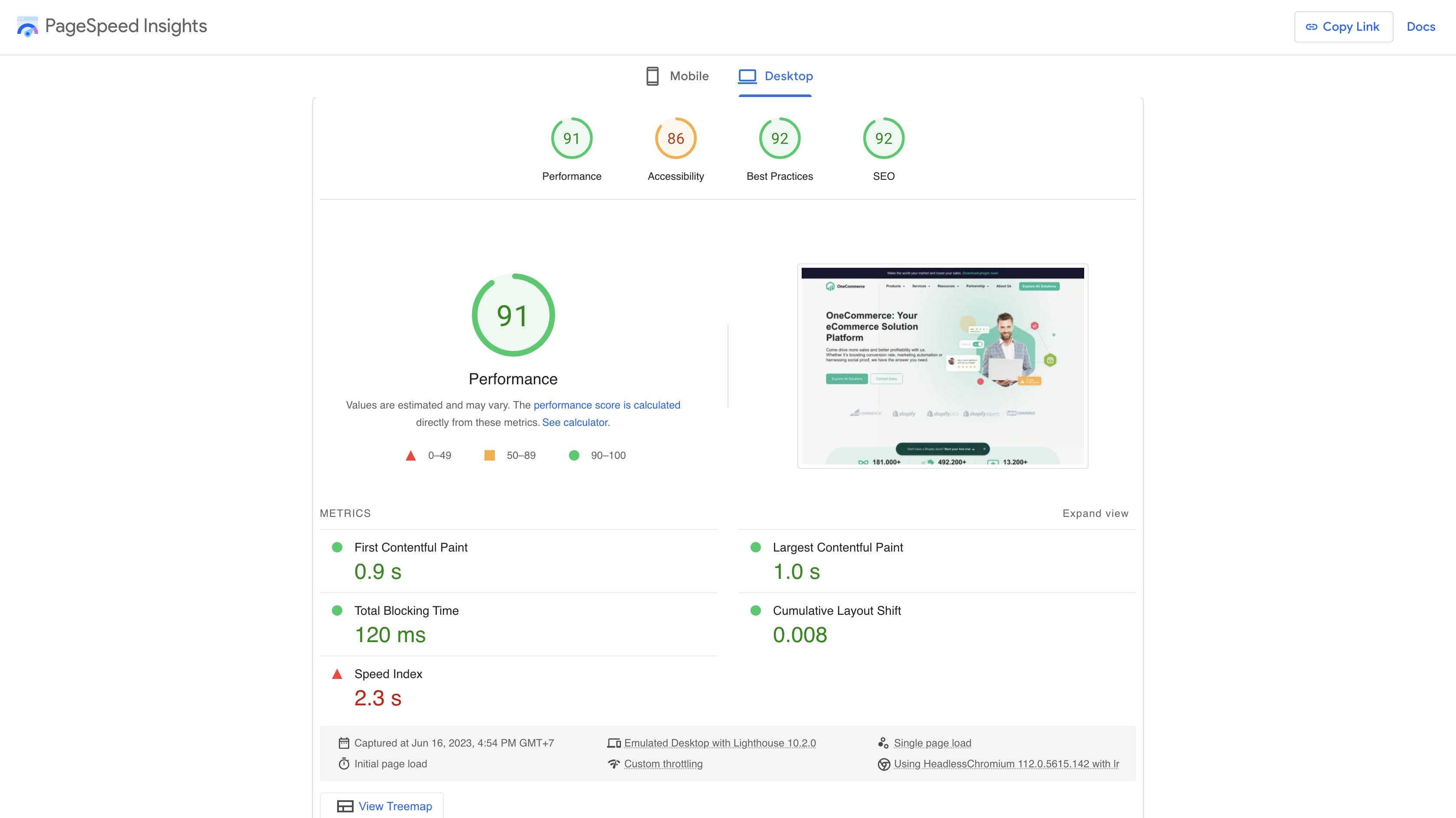 Google PageSpeed Insights Interface