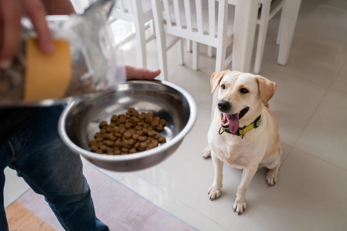 dog foods - deopshipping dog products