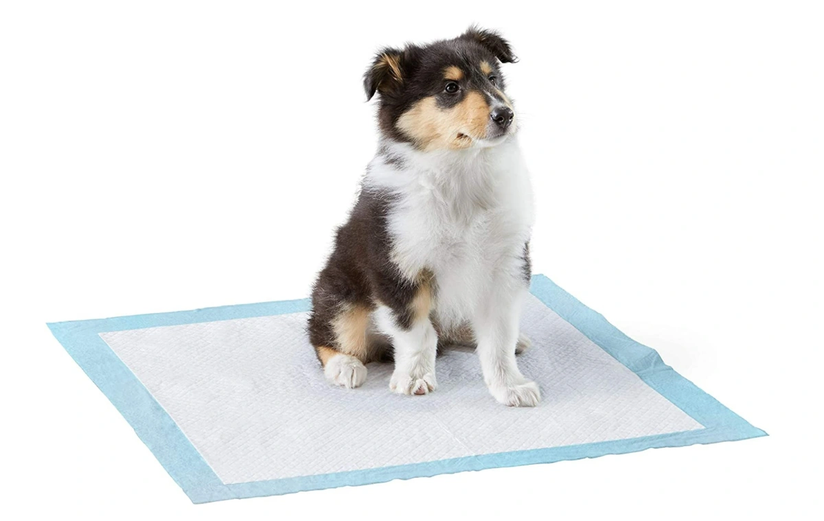 puppy pads - dropshipping dog products