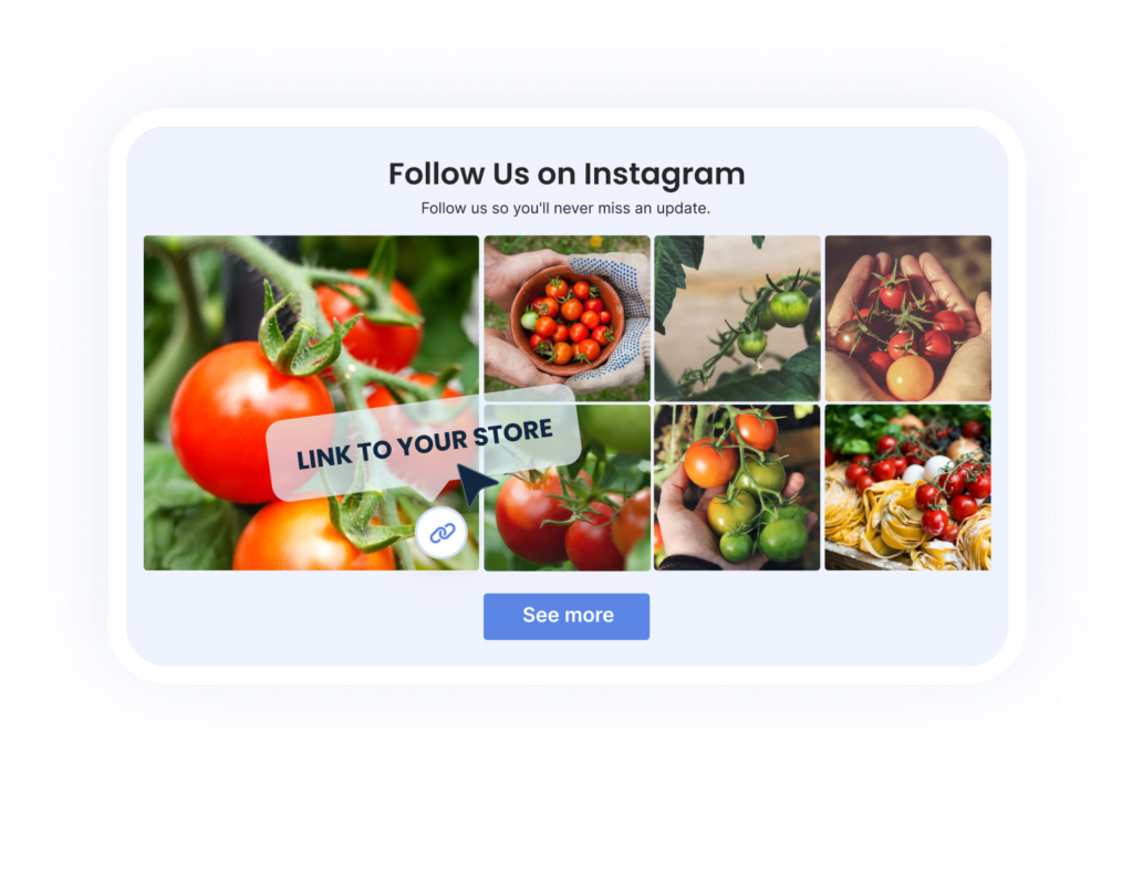Socialwidget - Add Instagram & Tiktok Feed To Shopify Website 15 Optimize for your goal